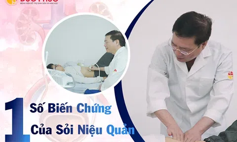 Đau thận là đau ở đâu?