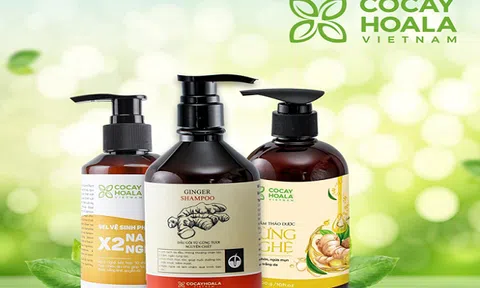 ONA Global và hành trình 3 năm đồng hành cùng sức khỏe hơn một triệu gia đình Việt Nam