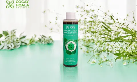 Đẩy lùi chảy máu chân răng tại nhà với 3 loại thảo dược đơn giản mà ai cũng biết