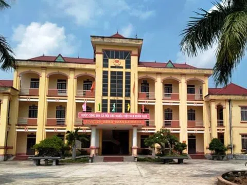 Cán bộ xã kê khống 28 tấn heo chết do dịch tả heo châu Phi, trục lợi riêng