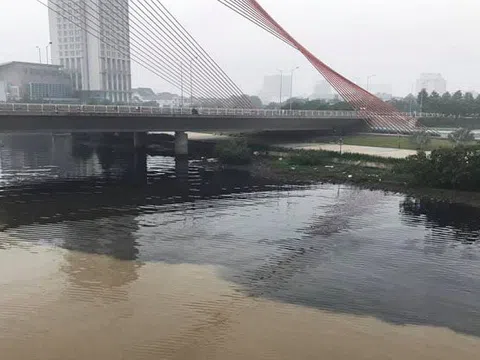 Lấy mẫu nước, điều tra thủ phạm xả thải ‘đầu độc’ sông Hàn