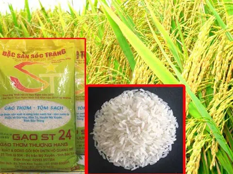 Loại gạo Việt Nam vừa đạt danh hiệu ngon nhất thế giới có giá bao nhiêu tiền/kg?