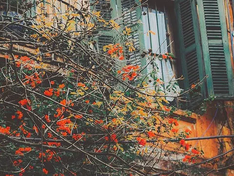 Thủ đô Hà Nội có mưa vài nơi, vùng núi có nơi dưới 17 độ C