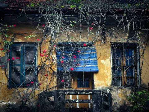 Hà Nội đã vào đông và những xúc cảm riêng biệt