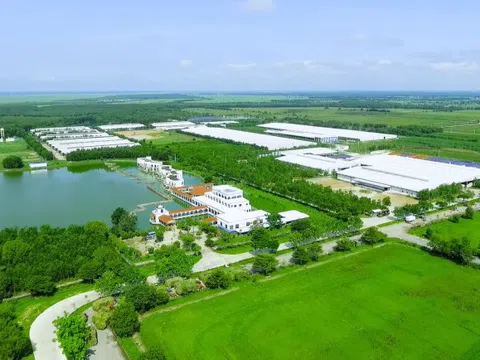 Vinamilk và những bước đi chiến lược trong 30 năm phát triển ngành chăn nuôi bò sữa