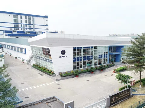 Không chỉ có sữa nước, sữa bột trẻ em Vinamilk cũng đang dẫn đầu thị trường