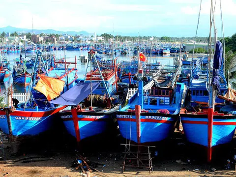 Vì sao nhiều công ty gặp khó trong bán bảo hiểm tàu cá?