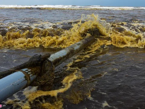 Nước biển gần khu kinh tế Dung Quất đổi màu đen như cà phê