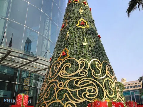 Chiêm ngưỡng những cây thông Noel khổng lồ trên đường phố Hà Nội