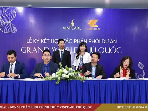 Euro group: Thị trường Condotel sẽ ra sao sau khi Cocobay ngửa bài