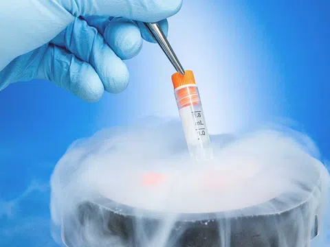 Đông lạnh trứng: Những điều bạn nên biết