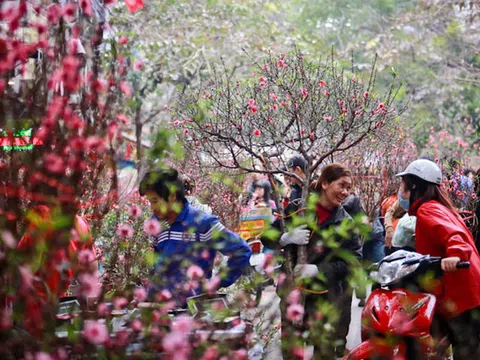 Miền Bắc rét đậm, rét hại dịp Tết