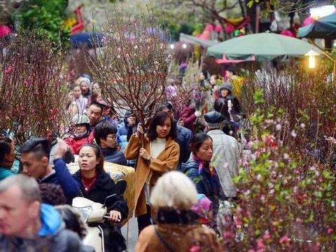 Đào, quất xuống phố, Tết đã gần lắm rồi