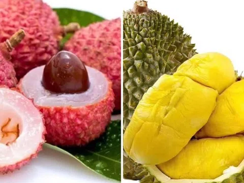 Lo bị xử phạt do ăn hoa quả có nồng độ cồn: Cơ quan soạn thảo Luật nói gì?