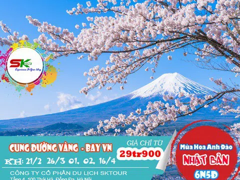 Tour Nhật Bản - Ngắm hoa anh đào dịp tết canh tý 2020