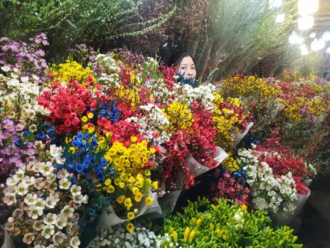 Chợ hoa đêm Quảng Bá lung linh những ngày cận Tết nguyên đán