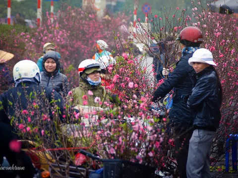 Chợ hoa Hà Nội nhộn nhịp người sắm Tết