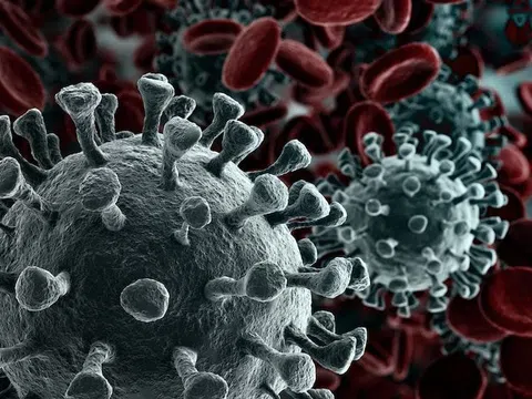 Ca nhiễm nCoV thứ 9 ở Việt Nam cũng trở về từ Vũ Hán