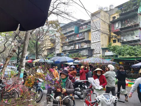 Người Hà Nội đi mua đào chơi rằm tháng giêng trong thời tiết rét đậm