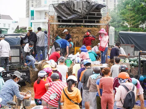 Xếp hàng mua dưa hấu, thanh long hỗ trợ nông dân ở TP.HCM