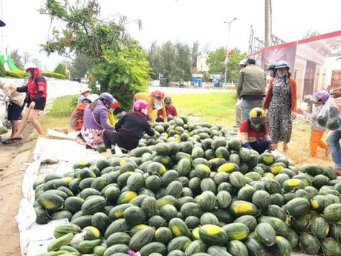Người dân Hà Nội đồng lòng, chung tay “giải cứu" nông sản giúp bà con nông dân