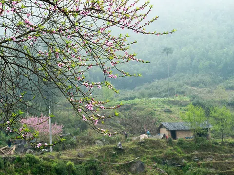 Có một Y Tý  như chốn thần tiên vào những ngày xuân