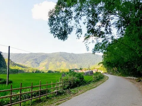 Xanh miền Quan Hóa