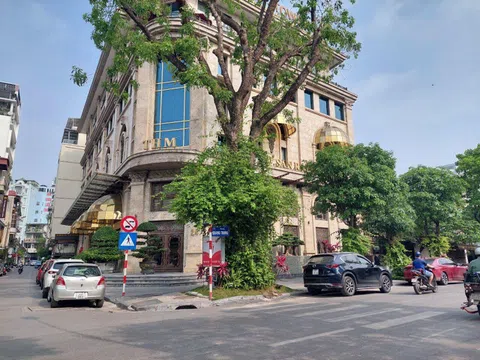 Nhà đầu tư trái phiếu “sốt sình sịch” ngóng cậu cả Tân Hoàng Minh hoàn tiền