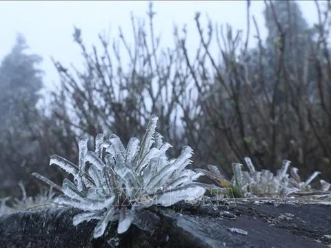 Không khí lạnh bao phủ Bắc Bộ, miền núi xuất hiện băng giá trong đêm nay