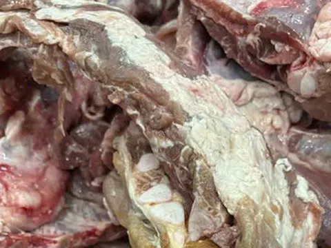 Thịt lợn bệnh tuồn vào bếp ăn trường học là tội ác không thể dung thứ