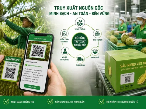 Hoàn thiện hệ thống truy xuất nguồn gốc: Nền tảng minh bạch chuỗi nông sản Việt