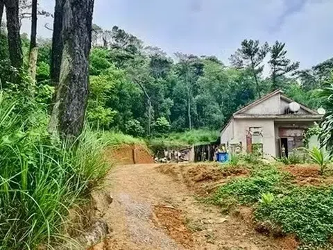 12 cựu cán bộ liên quan sai phạm đất đai tại Hướng Hóa sắp hầu tòa