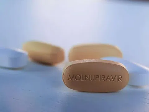 Hơn 300.000 viên thuốc Molnupiravir điều trị F0 có kiểm soát tại nhà và cộng đồng về TP.HCM