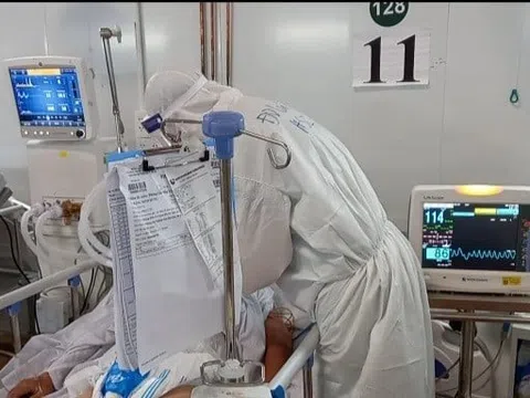 Bộ Y tế lên tiếng về việc địa long chữa Covid-19