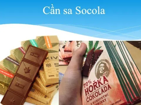 Vụ ngộ độc cần sa từ kẹo 'xách tay': Bác sĩ khuyến cáo gì?