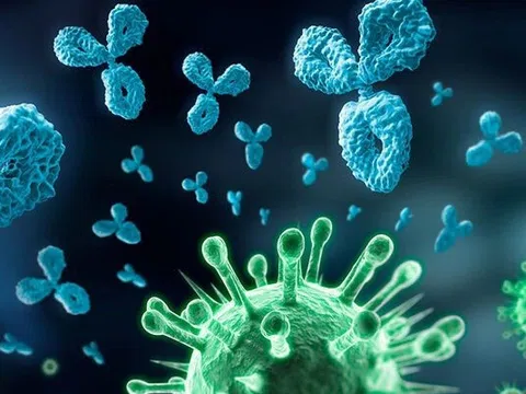 Liệu pháp được xem là khắc tinh của Covid-19 với "tác dụng kép"