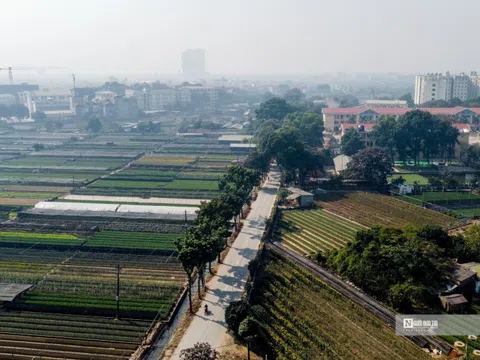 Hà Nội: TTGT bất ngờ kiểm tra, nhiều tài xế vi phạm bị xử lý