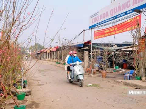 Đào Nhật Tân xuống phố sớm phục vụ người dân chơi Tết sớm