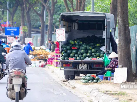 Hà Nội: Người dân đổ xô đi giải cứu nông sản