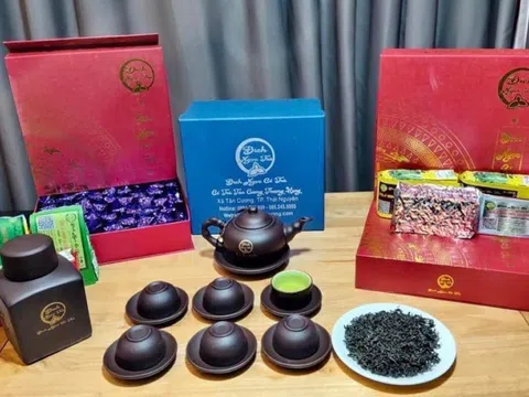 Bích Ngọc Cổ Trà: Thương hiệu Trà Tân Cương cao cấp được tin tưởng sử dụng