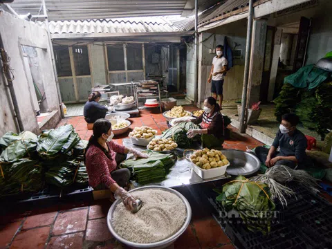 Ghé thăm làng bánh chưng Tranh Khúc để thấy Tết đã về rất gần