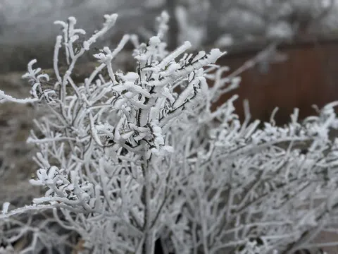 Miền Bắc chuẩn bị tiếp tục đón đợt rét đậm, rét hại kèm theo mưa phùn