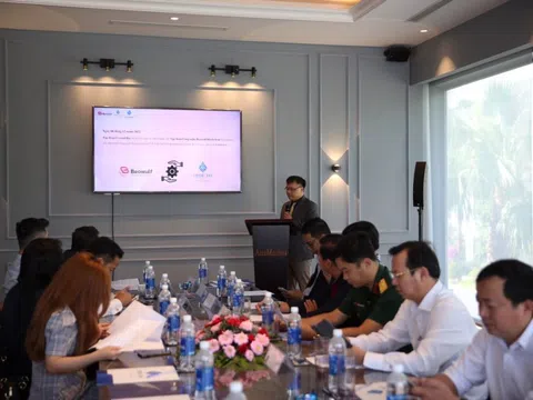 Nền tảng NFT – CRYSTABAYA mở ra hướng tiếp cận mới cho du lịch Việt Nam