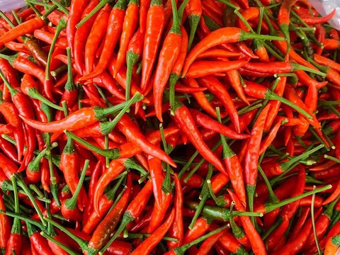 Cấm suốt 2 năm, Trung quốc vừa mở cửa cho ớt tươi Việt Nam