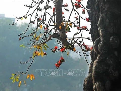 Ngắm Hà Nội trong khoảnh khắc giao mùa