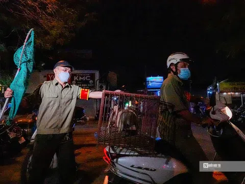 Hà Nội: Thả chó ra đường, chủ nhân ngậm ngùi nộp phạt 1,5 triệu đồng