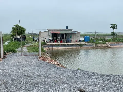 Bắt kẻ giải quyết mâu thuẫn “bằng nắm đấm”