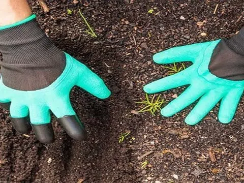 Thanh Hóa: Một bệnh nhân tử vong do nhiễm vi khuẩn bệnh Whitmore