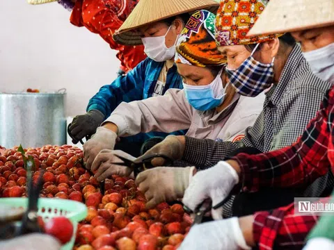 Thủ tướng yêu cầu chi trả kịp thời tiền lương, thưởng cho người lao động