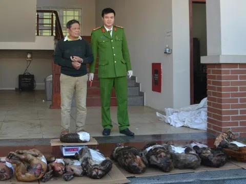 Bắt vụ mua bán trái phép động vật hoang dã, nguy cấp, quý hiếm